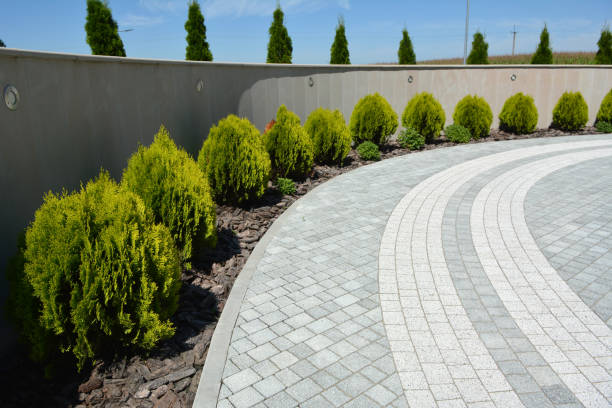 Professional Driveway Pavers in Round Lake Park, IL