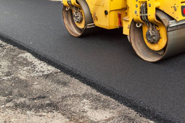 Best Residential Driveway Paver Services  in Round Lake Park, IL